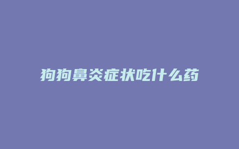 狗狗鼻炎症状吃什么药