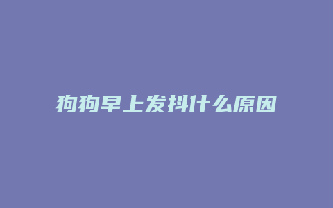 狗狗早上发抖什么原因