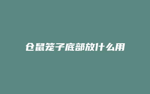 仓鼠笼子底部放什么用