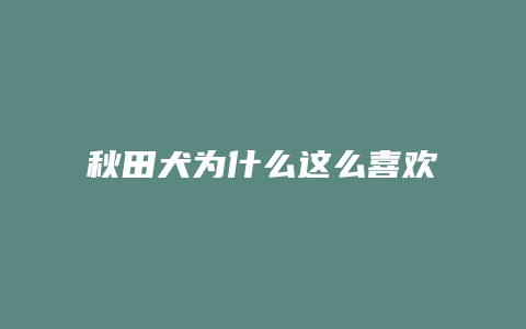 秋田犬为什么这么喜欢睡觉