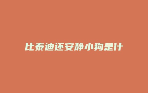 比泰迪还安静小狗是什么