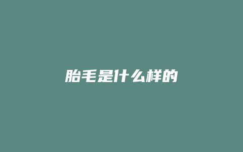 胎毛是什么样的