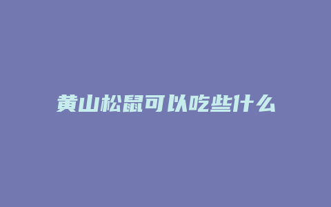 黄山松鼠可以吃些什么名字