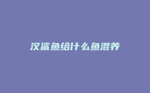 汉鲨鱼给什么鱼混养