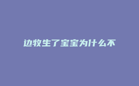 边牧生了宝宝为什么不吃东西