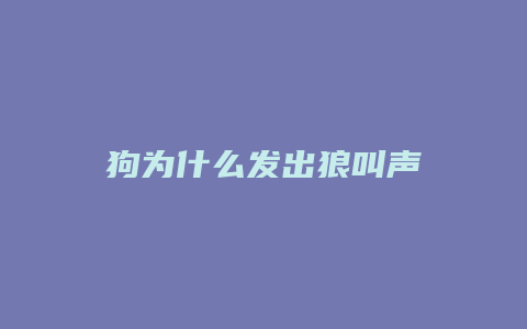 狗为什么发出狼叫声