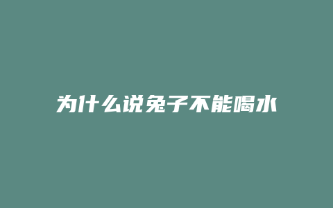 为什么说兔子不能喝水