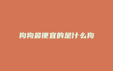 狗狗最便宜的是什么狗