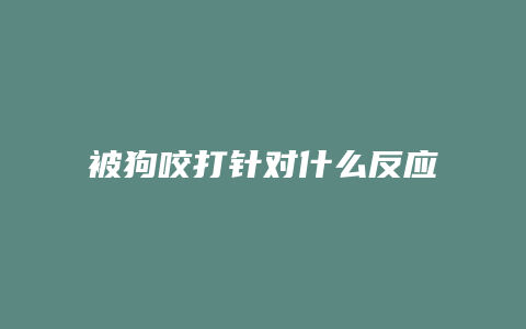 被狗咬打针对什么反应