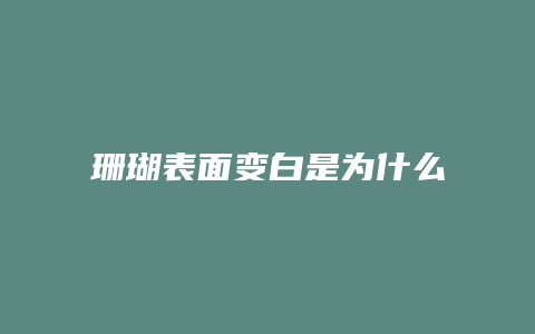 珊瑚表面变白是为什么