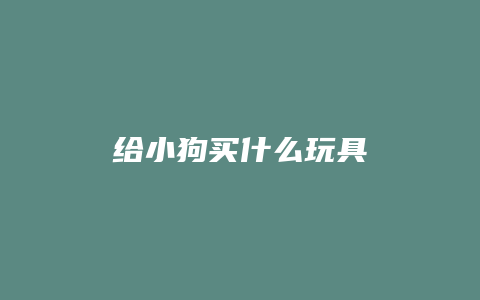 给小狗买什么玩具