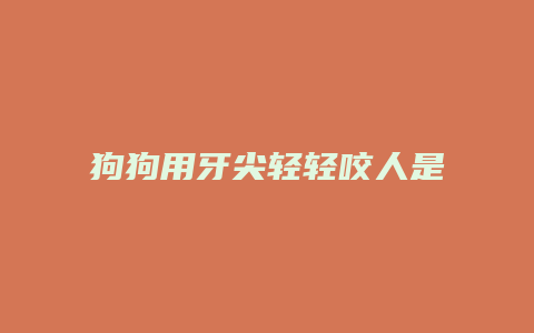 狗狗用牙尖轻轻咬人是什么意思