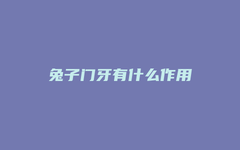 兔子门牙有什么作用