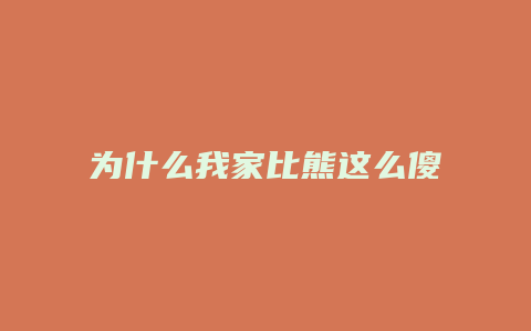 为什么我家比熊这么傻