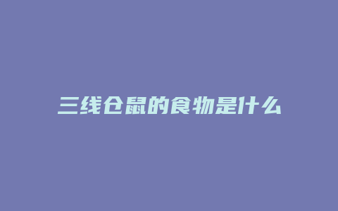 三线仓鼠的食物是什么