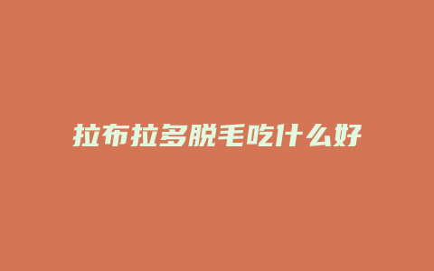 拉布拉多脱毛吃什么好