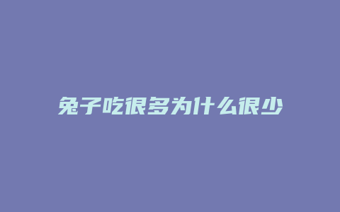 兔子吃很多为什么很少拉屎