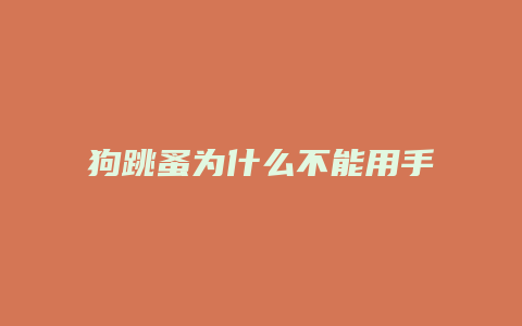 狗跳蚤为什么不能用手碾死