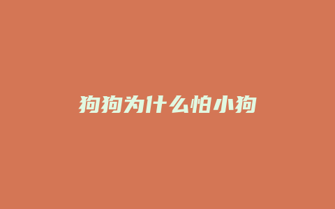 狗狗为什么怕小狗