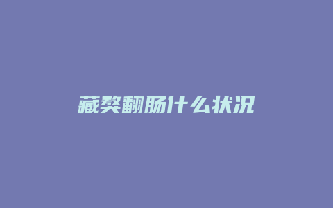 藏獒翻肠什么状况