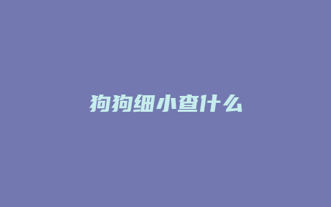 狗狗细小查什么