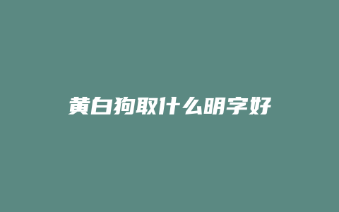 黄白狗取什么明字好