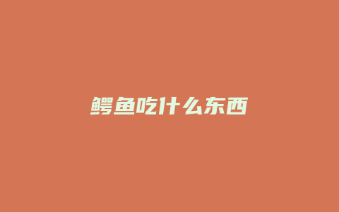 鳄鱼吃什么东西