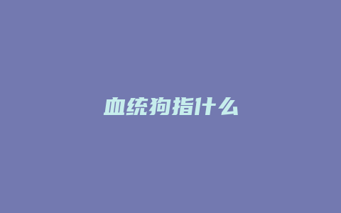 血统狗指什么