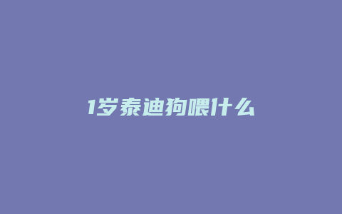 1岁泰迪狗喂什么