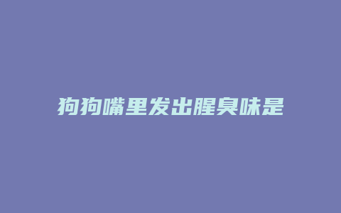 狗狗嘴里发出腥臭味是什么原因