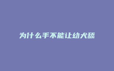 为什么手不能让幼犬舔