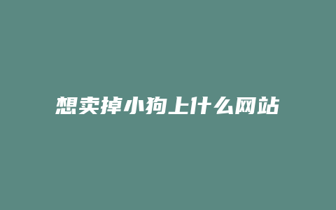 想卖掉小狗上什么网站