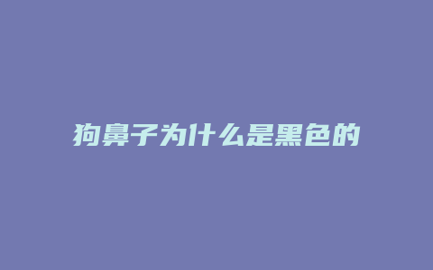 狗鼻子为什么是黑色的