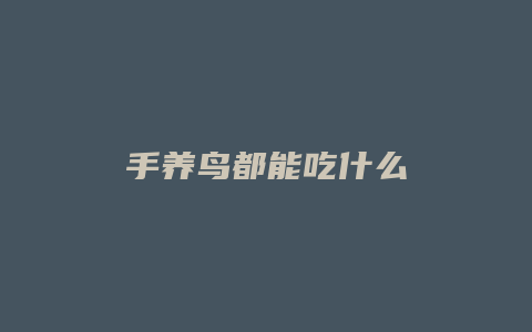 手养鸟都能吃什么