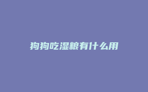 狗狗吃湿粮有什么用