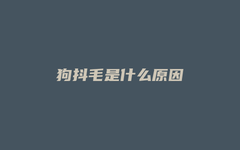 狗抖毛是什么原因