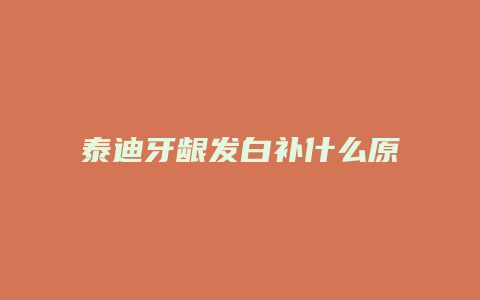 泰迪牙龈发白补什么原因