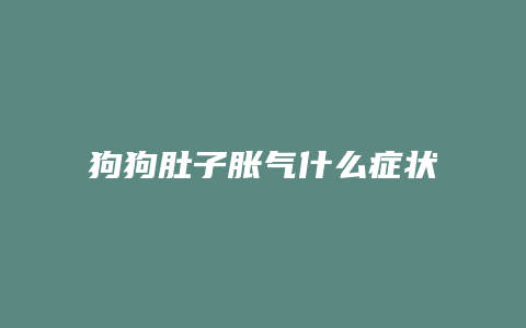 狗狗肚子胀气什么症状