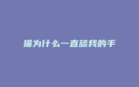 猫为什么一直舔我的手