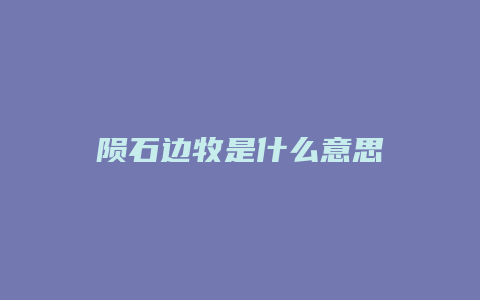 陨石边牧是什么意思