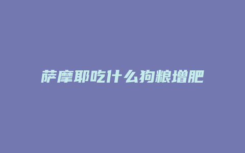 萨摩耶吃什么狗粮增肥