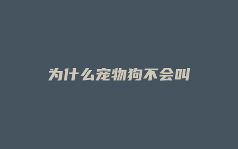 为什么宠物狗不会叫