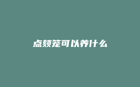 点颏笼可以养什么