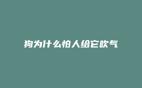 狗为什么怕人给它吹气