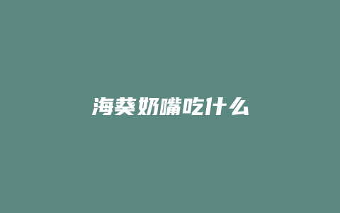 海葵奶嘴吃什么