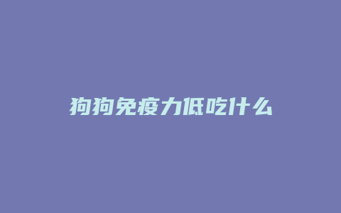 狗狗免疫力低吃什么