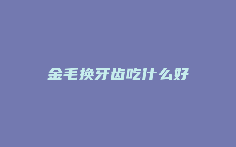 金毛换牙齿吃什么好