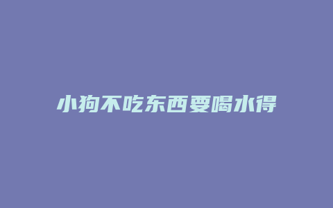 小狗不吃东西要喝水得了什么病呢