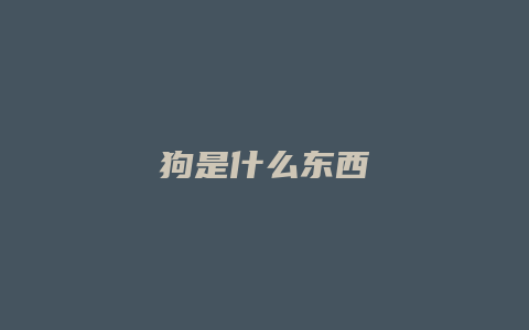 狗是什么东西