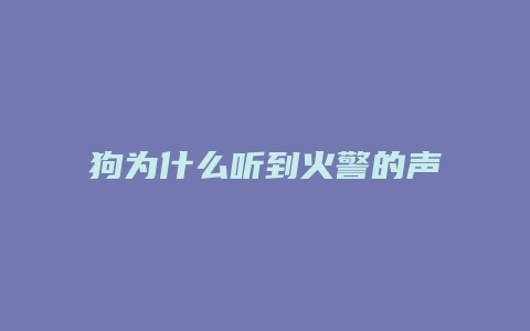 狗为什么听到火警的声音会狂叫